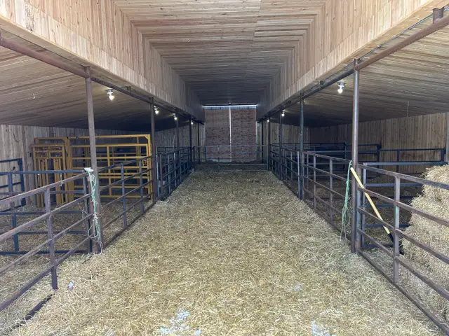 Looking for Farm Help - Photo 3