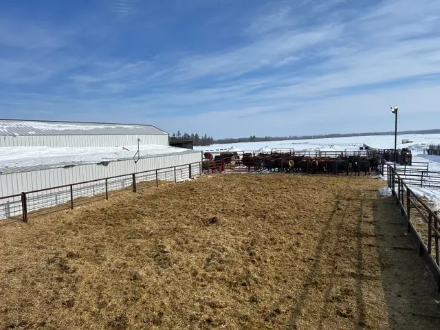 Looking for Farm Help - Photo 4