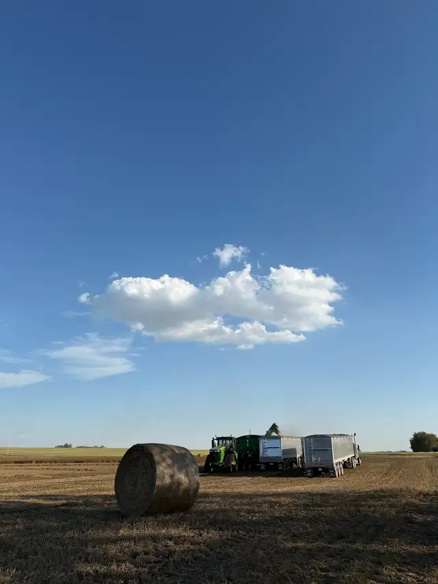 Looking for Farm Help - Photo 5