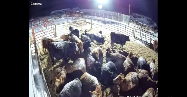 Looking for Farm Help - Photo 6