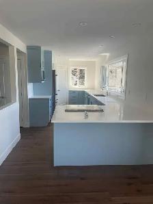 SPRING CLEANING SERVICES - Photo 3