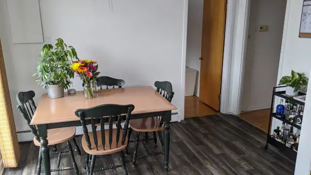 Grand 5 1/2 - Montréal Nord