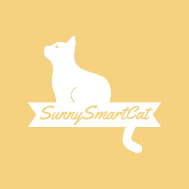 British Shorthair Kittens Waiting list - Photo 5