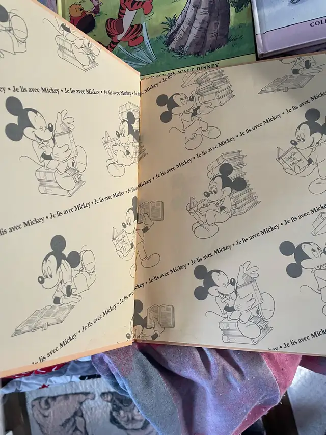 livres disney - Photo 3
