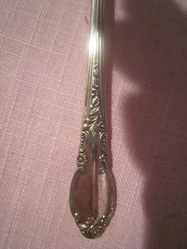 #46A ENCHANTMENT silverware set for 8