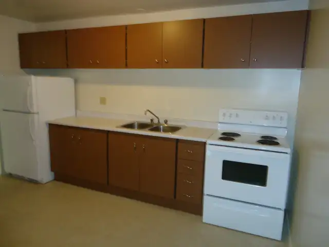 1 bedroom apartment for rent May 1 st - Photo 3