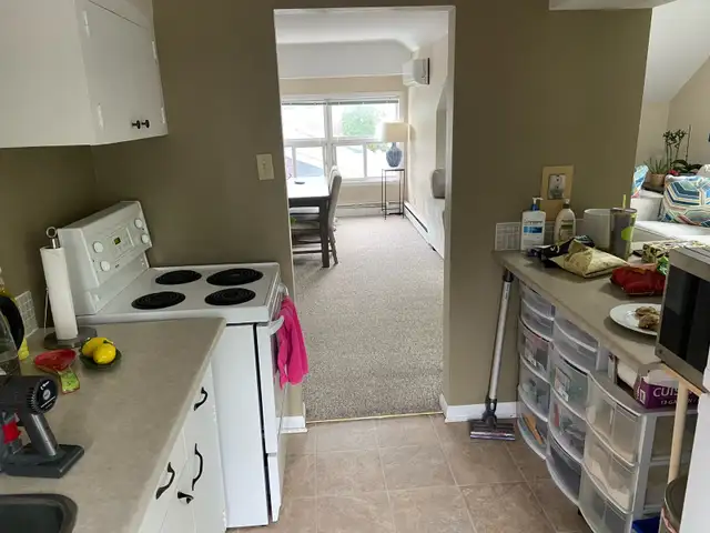 one Bedroom Apartment for rent - Photo 3