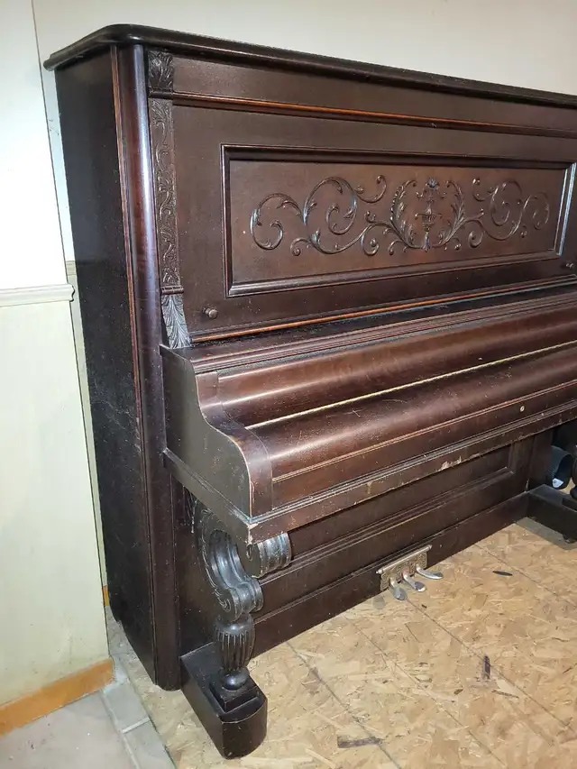 Free Stuff - Photo 2