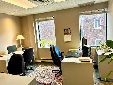 Outremont - Bureau professionnel à louer - Photo 5