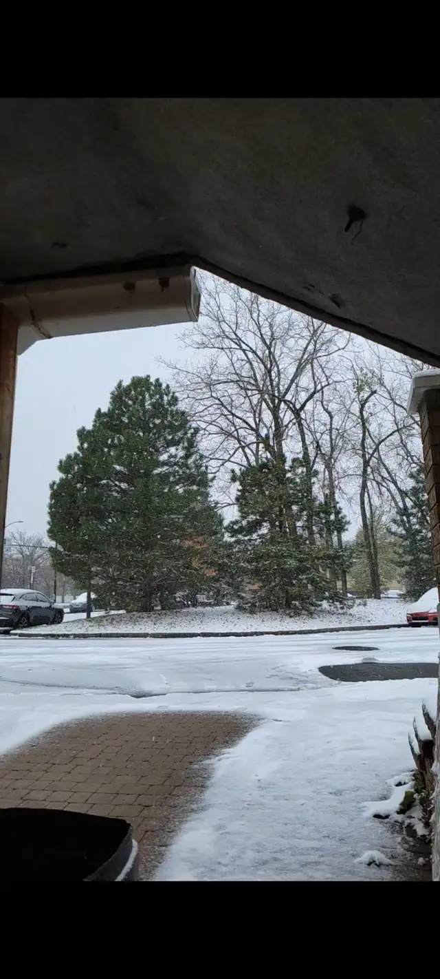 Appartements à louer, Saint-Laurent, 3 1/2. - Photo 8