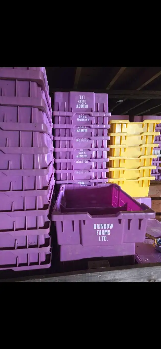 Vineyard supplies - Photo 2