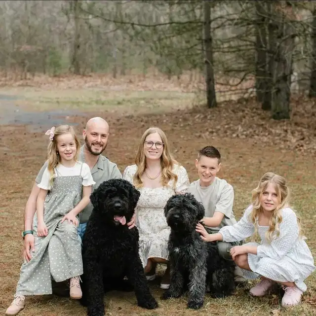 Bouvier Des Flandres - Photo 4