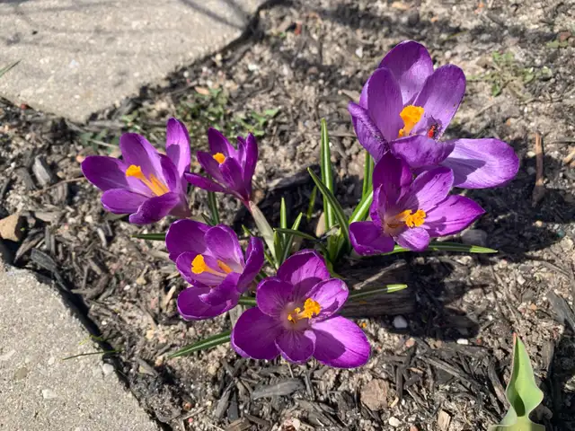 PSW Wanted For Retirement Home