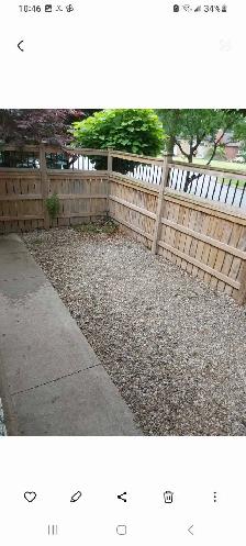 QUALITY  PET  CARE - Photo 6