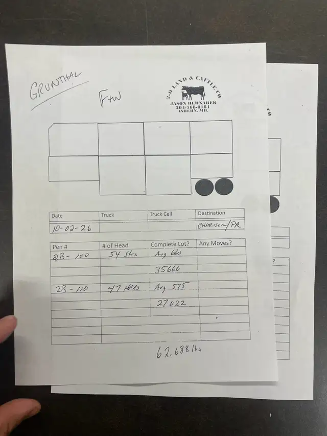 McIntosh Ranch Bull & Female Sale - Photo 3