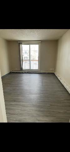 The Sutherland / 2 Bedroom - Photo 5