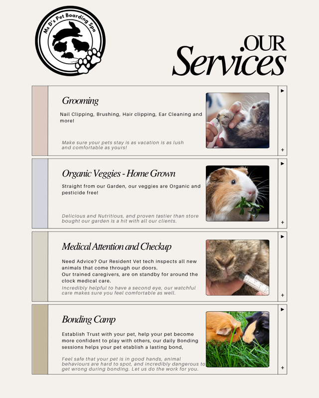 Small Animals Pet Sitting / Boarding - Vet Tech - Photo 9