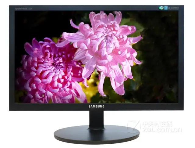 Écran pour PC Samsung E2220X 21,5 po Full HD 1920 x 1080 VGA DVI