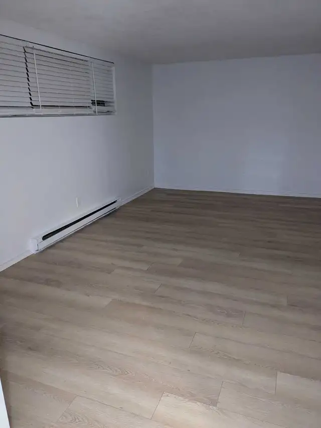 2 Bedroom Basement Apartment in Duplex - Photo 7