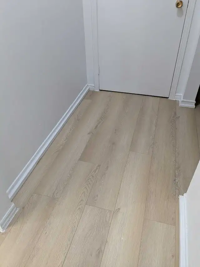 2 Bedroom Basement Apartment in Duplex - Photo 9