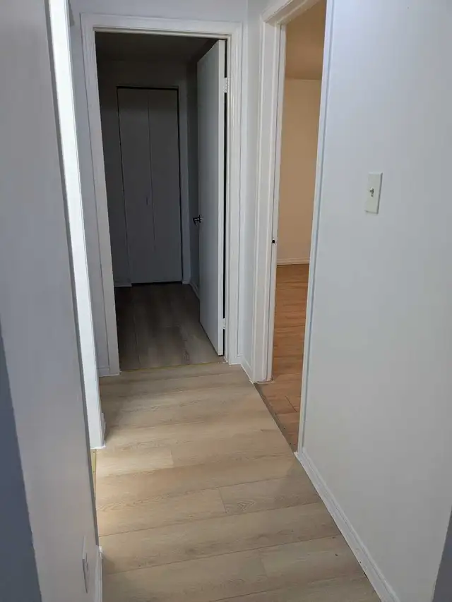 2 Bedroom Basement Apartment in Duplex - Photo 10