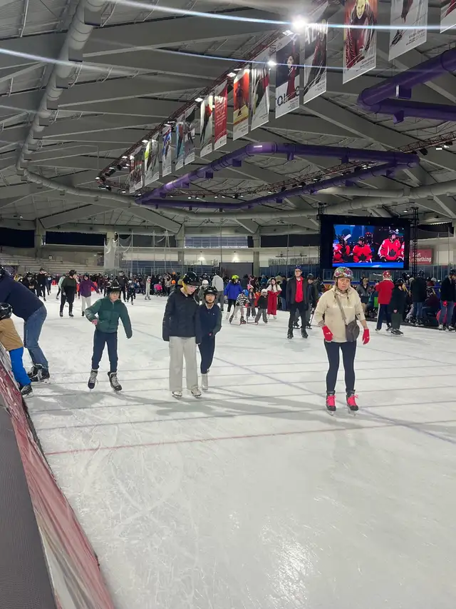 Private Lessons. Learn to Skate, Learn Hockey