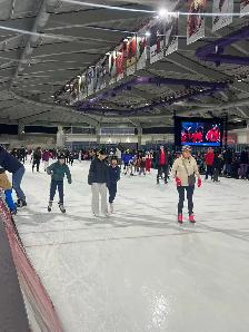 Private Lessons. Learn to Skate, Learn Hockey