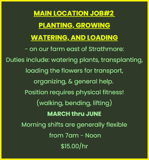 NOW HIRING! - Photo 5