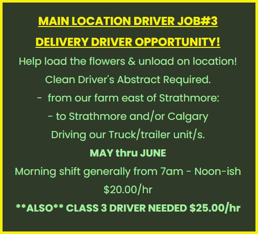 NOW HIRING! - Photo 7