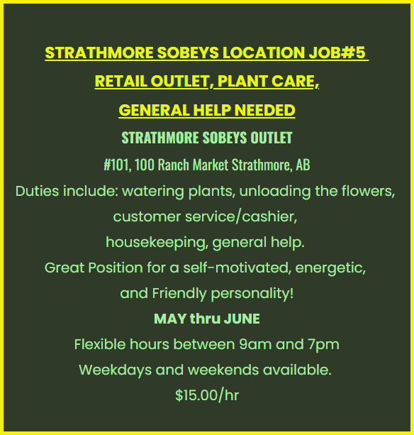 NOW HIRING! - Photo 10