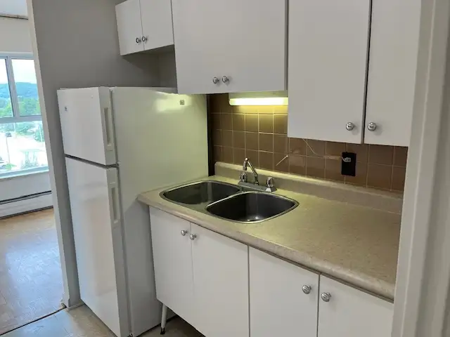 Spacious Corner Unit w Balcony – Secure Bldg w Elevator - Photo 6