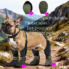 Dog boots  Brand new