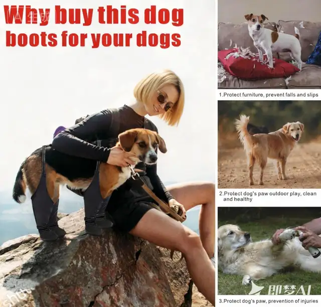 Dog boots  Brand new - Photo 2