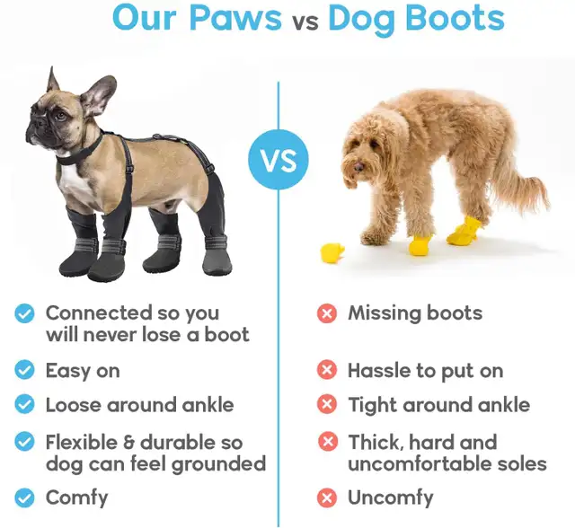 Dog boots  Brand new - Photo 3