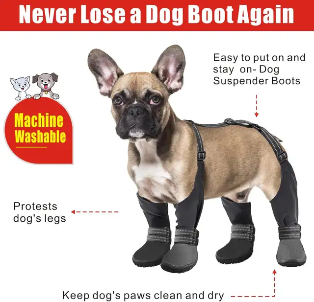 Dog boots  Brand new - Photo 6