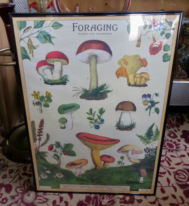 PAST & PRESENT ANTIQUES - HERMAN MILLER CHAIRS - MUSHRO0M PRINTS - Photo 6