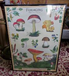 PAST & PRESENT ANTIQUES - HERMAN MILLER CHAIRS - MUSHRO0M PRINTS - Photo 6