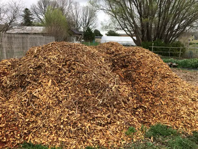 Free Woodchips/ Tree Mulch