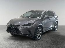 2019 Lexus NX NX 300 / AWD