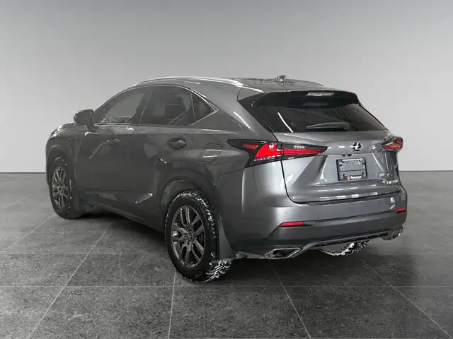 2019 Lexus NX NX 300 / AWD - Photo 4