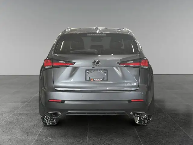 2019 Lexus NX NX 300 / AWD - Photo 5