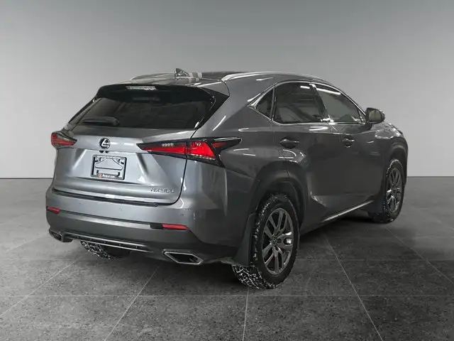 2019 Lexus NX NX 300 / AWD - Photo 7