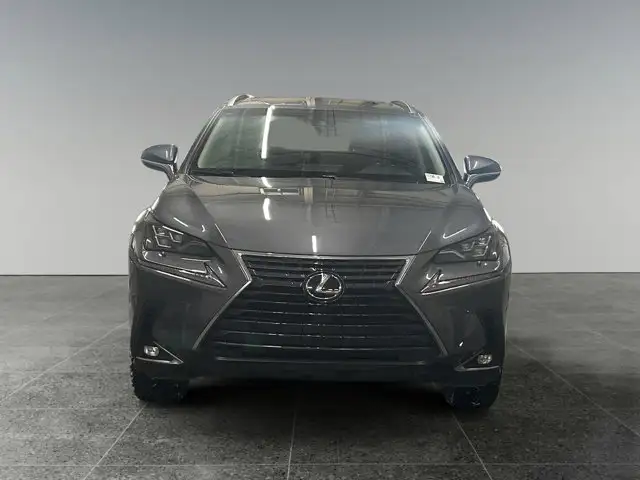 2019 Lexus NX NX 300 / AWD - Photo 10