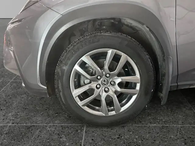 2019 Lexus NX NX 300 / AWD - Photo 11