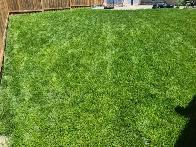 Free interlocking brakes available in Pickering area - Photo 3