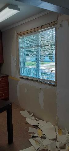 Shine painting services