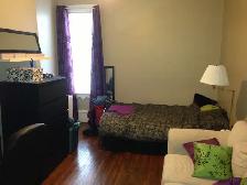 1 Bedroom Queens apartment- May 1st - steps to campus