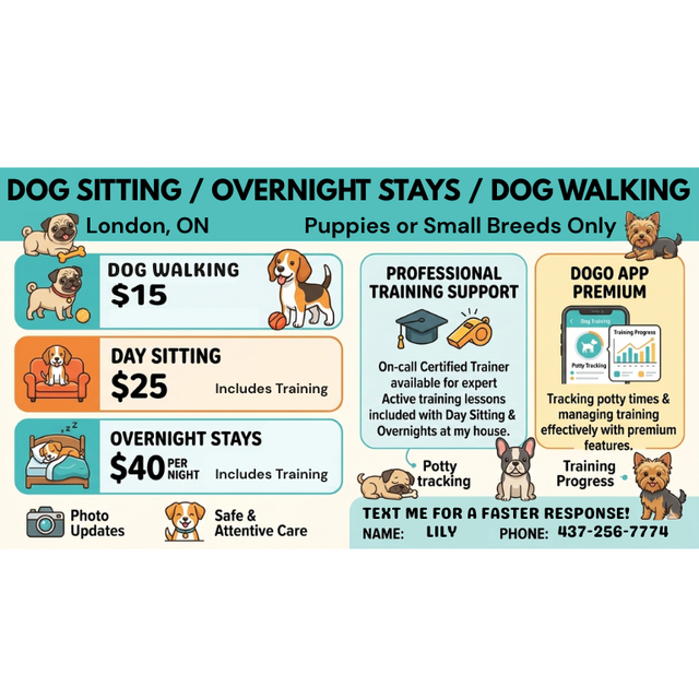 Affordable Small (or Puppy) Dog Sitter/Walker