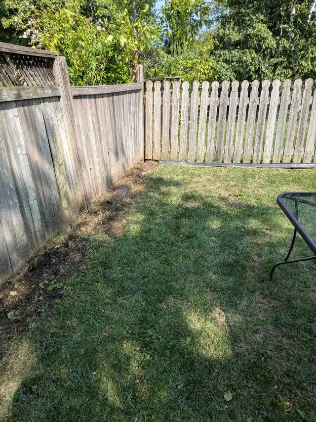 Lawn Care - Photo 2