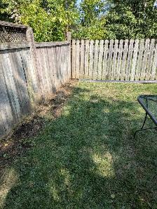 Lawn Care - Photo 2